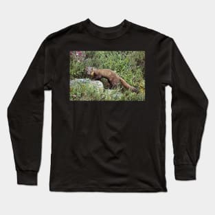 Pine Marten Long Sleeve T-Shirt